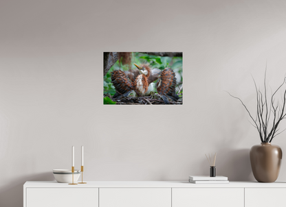 24 x 16″, Metal "Finding My Wings" - Tricolored Heron