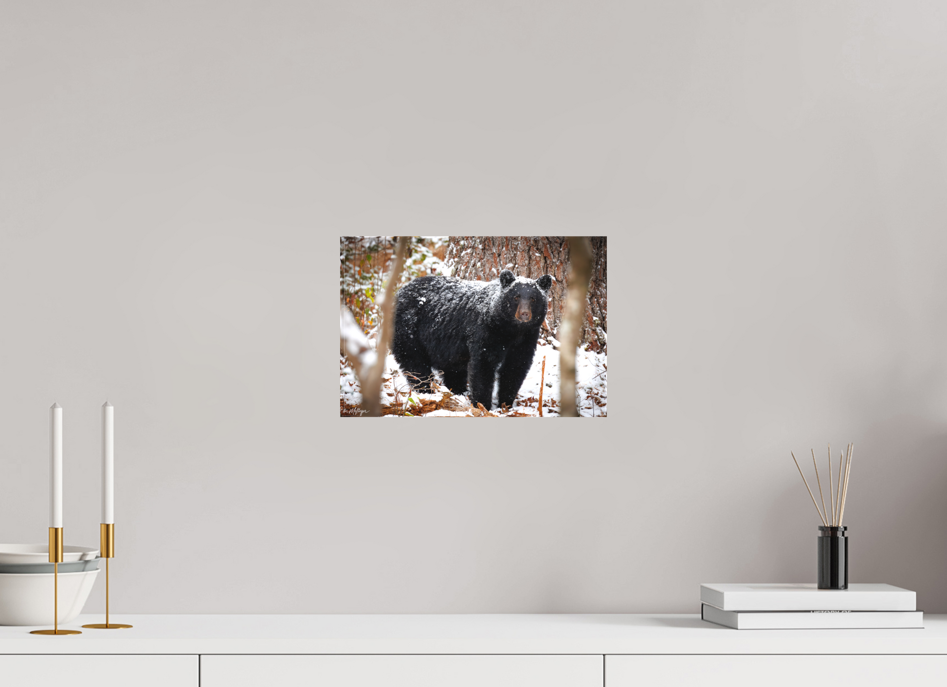 12 x 8″, Canvas "Winter Watcher" - Black Bear