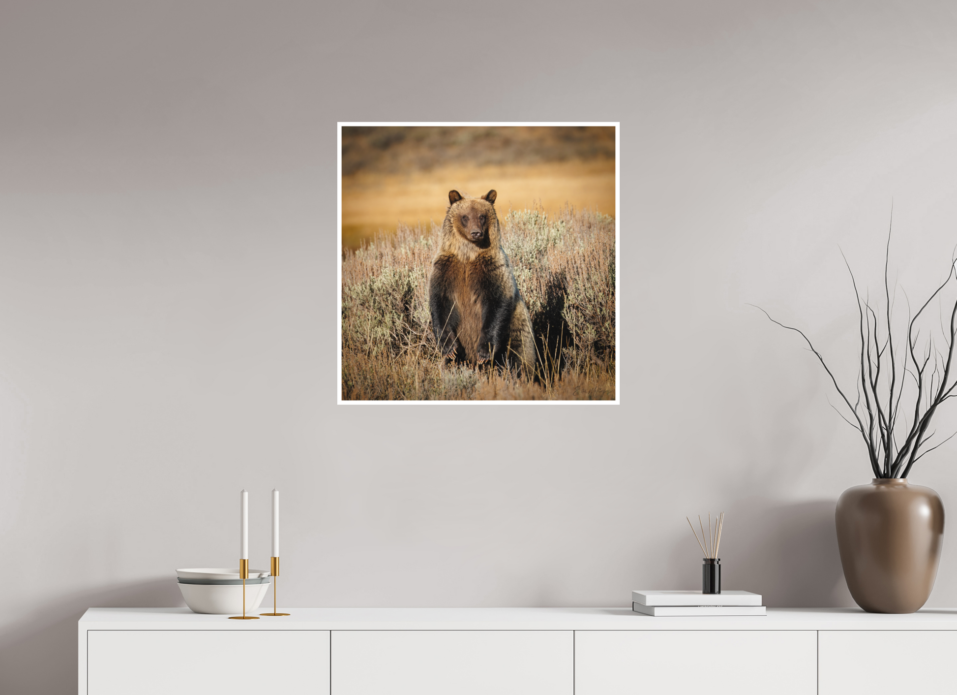 25 x 25″, Fine art print "Standing Tall" - Grizzly Bear