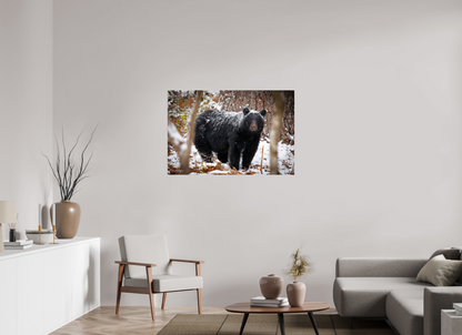 45 x 30″, Metal "Winter Watcher" - Black Bear