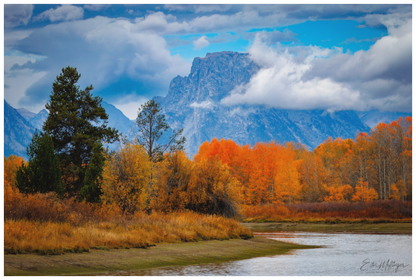 Main image "Autumn Glory" - Oxbow Bend
