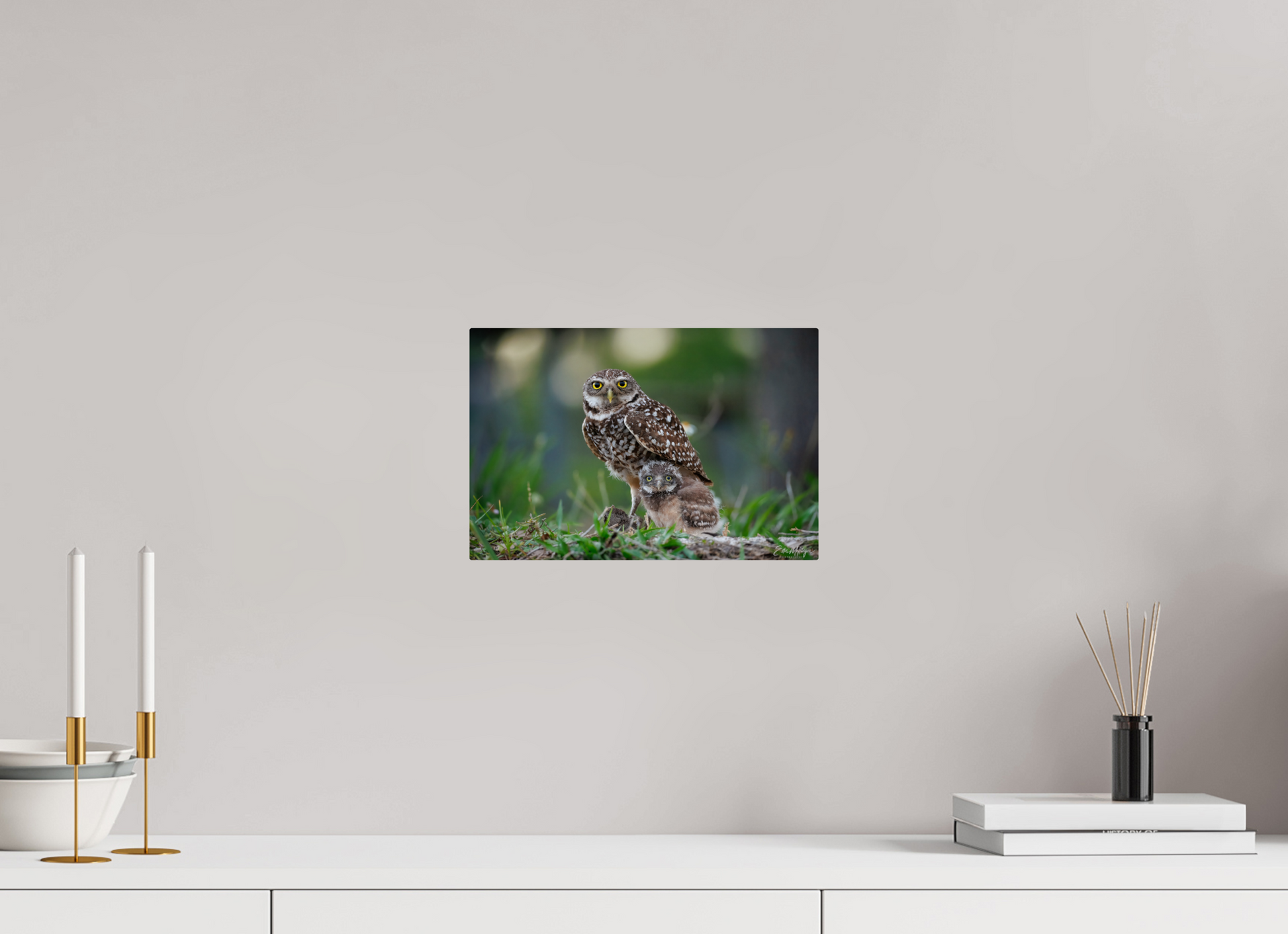 12 x 8″, Metal "Burrowlight" - Burrowing Owls