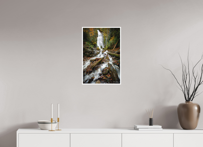 16 x 24″, Fine art print "Whispers of the Forest" - Mingo Falls