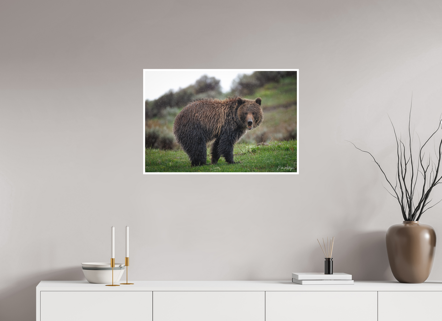 30 x 20″, Fine art print "Stormy Charm" - Grizzly Bear