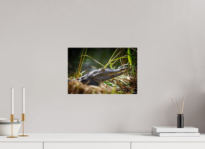 15 x 10″, Metal "Teeth of Time" - American Crocodile