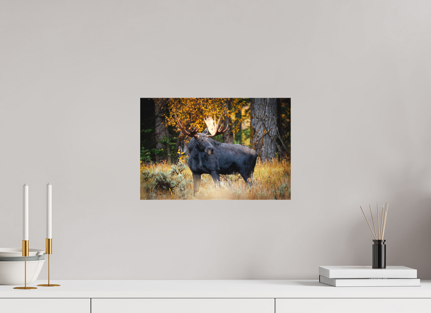 15 x 10″, Canvas "Guardian of the Gros Ventre" - Bull moose