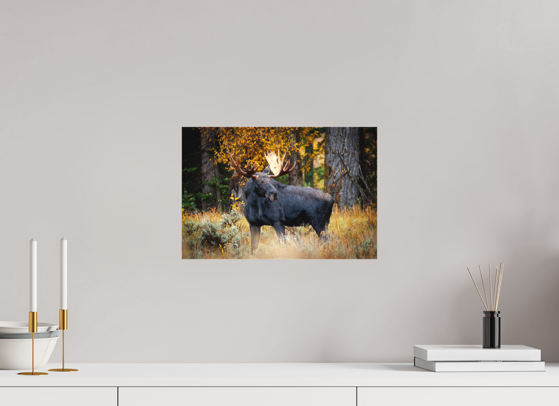 15 x 10″, Canvas "Guardian of the Gros Ventre" - Bull moose