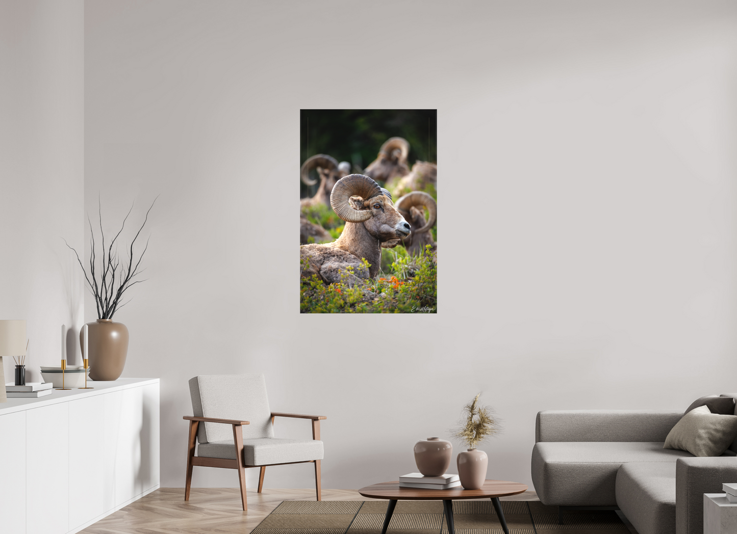 30 x 45″, Canvas "High Watch" - Bighorn Sheep