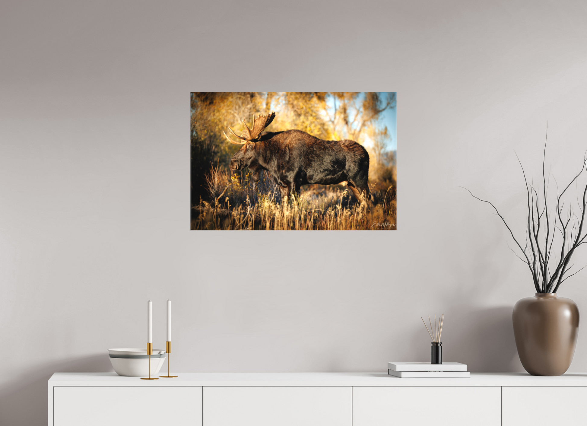 30 x 20″, Canvas "Monarch of Gros Ventre - Presence" - Bull Moose