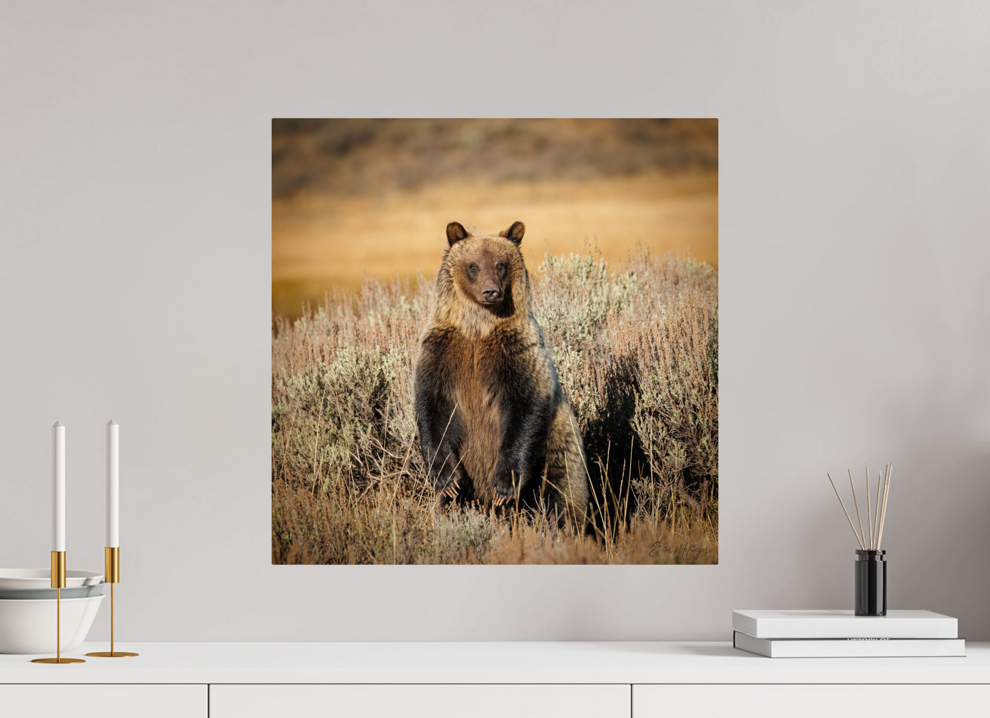 20 x 20″, Metal "Standing Tall" - Grizzly Bear