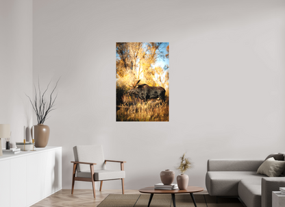 30 x 45″, Canvas "Monarch of Gros Ventre - Stillness" - Bull Moose
