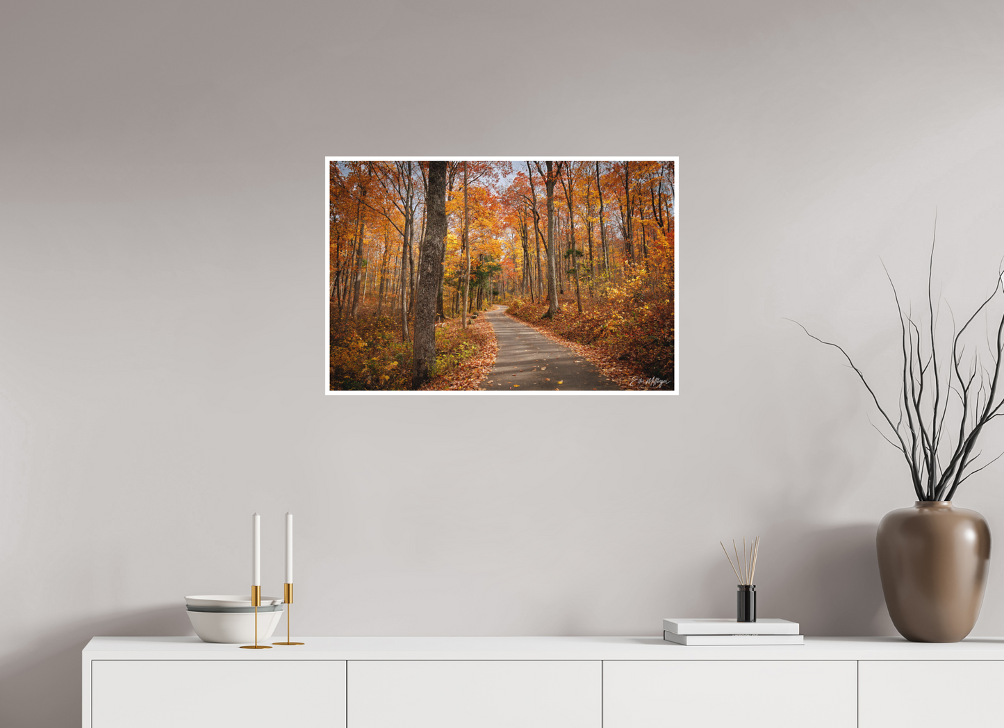 30 x 20″, Fine art print "Golden Path" - Roaring Fork Road
