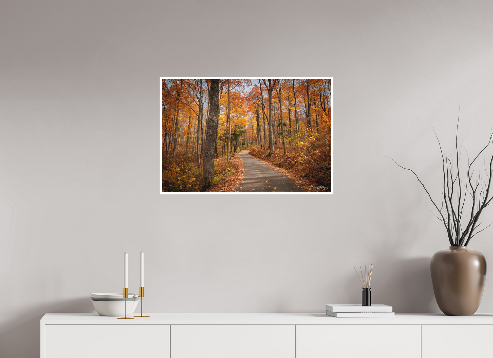 30 x 20″, Fine art print "Golden Path" - Roaring Fork Road