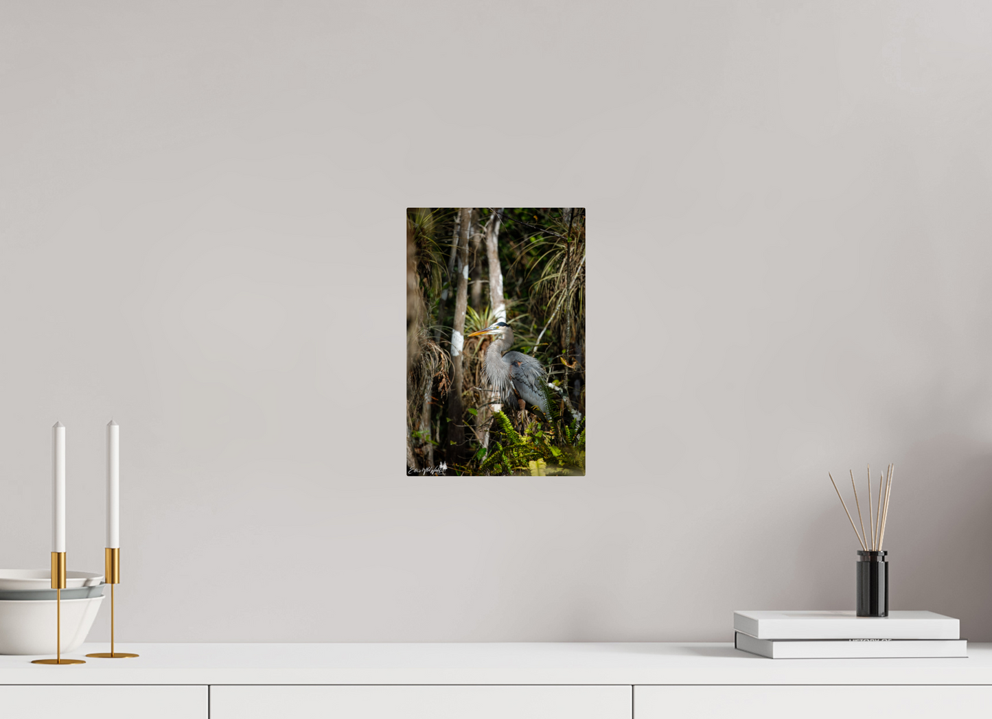 Great blue heron in the swamp