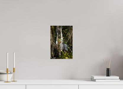 Great blue heron in the swamp