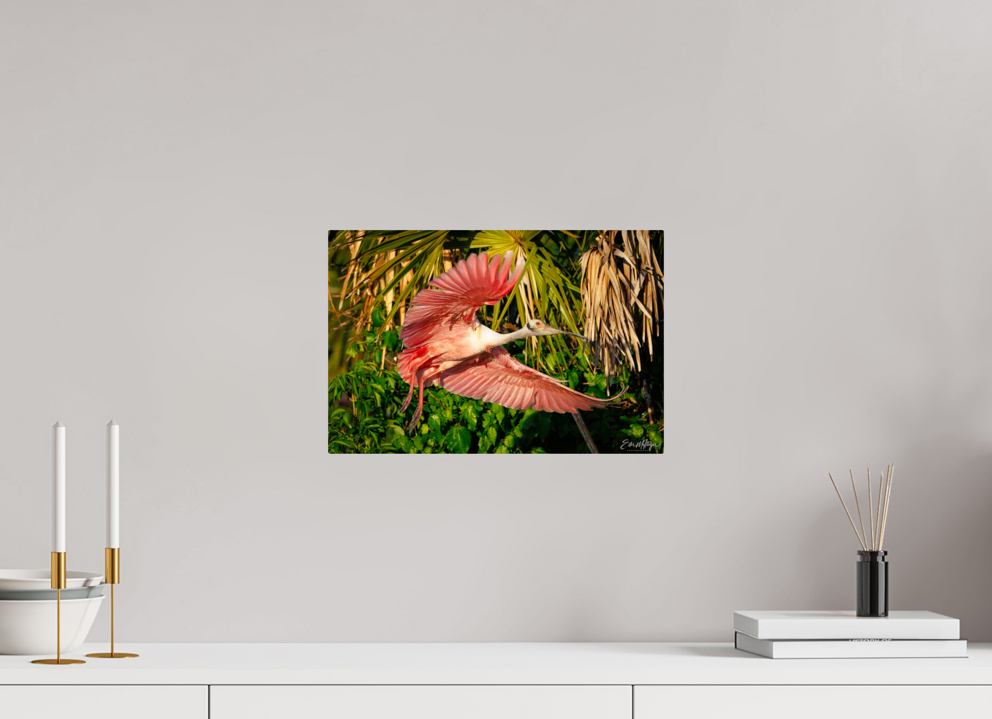 15 x 10″, Metal "Brushstrokes of Pink" - Roseate Spoonbill