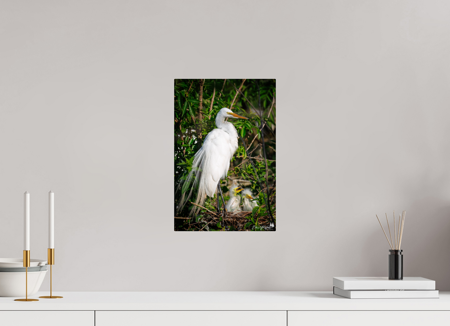 Great egret with chicks