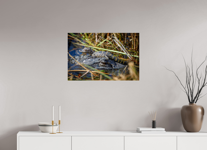 30 x 20″, Acrylic "Perched Above" - Baby Alligator