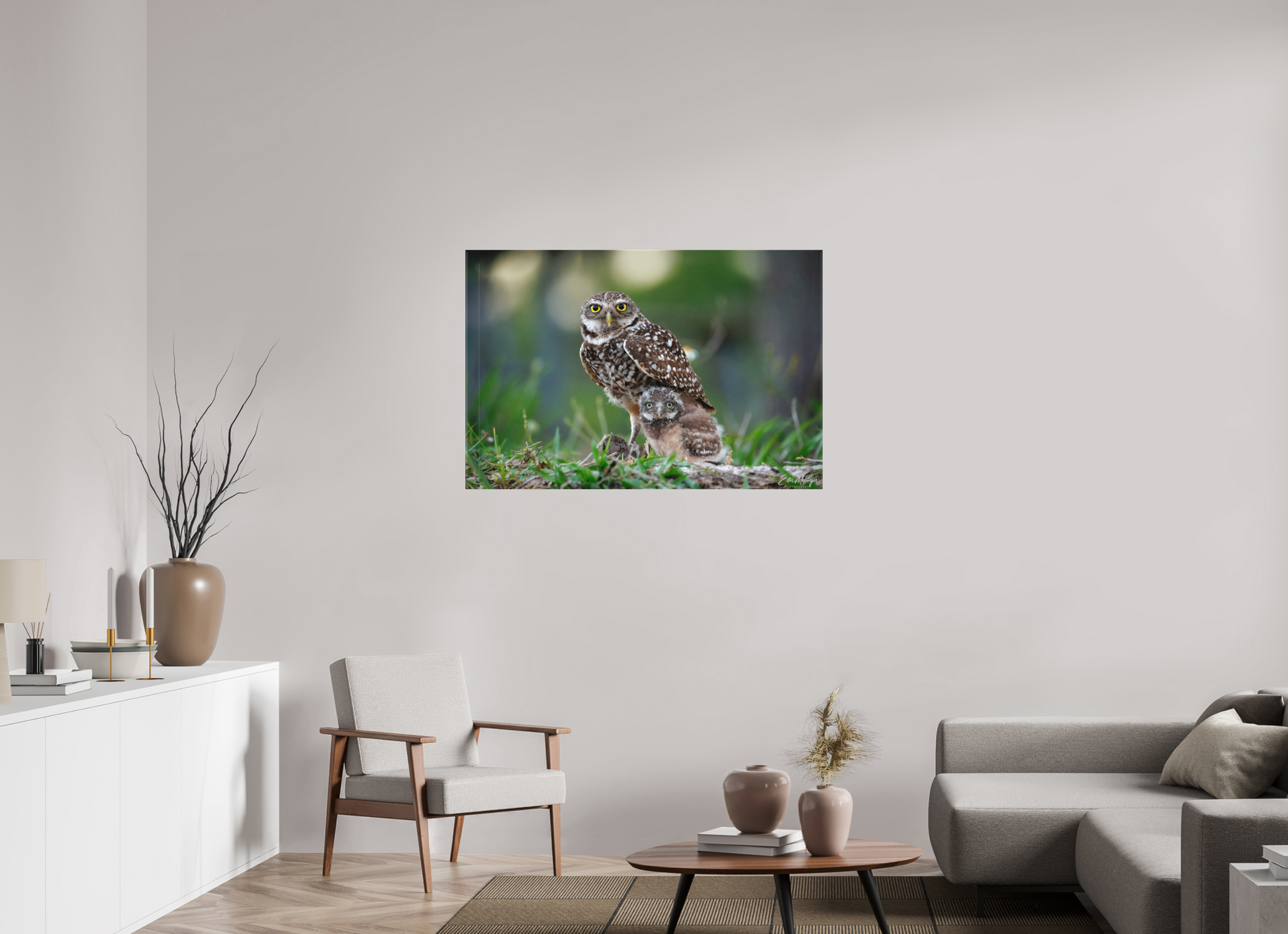 45 x 30″, Canvas "Burrowlight" - Burrowing Owls