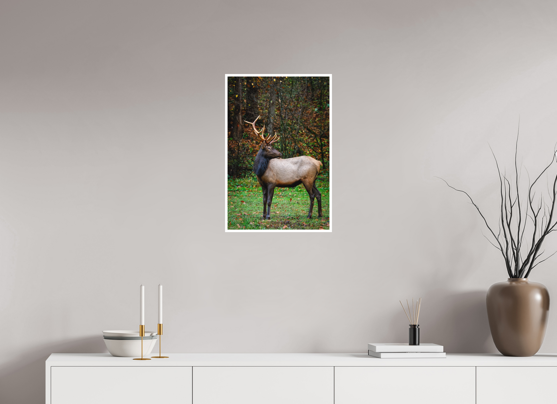 16 x 24″, Fine art print "Guardian of the Meadow" - Elk