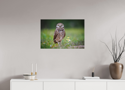 30 x 20″, Canvas "The Watcher" - Burrowing Owl