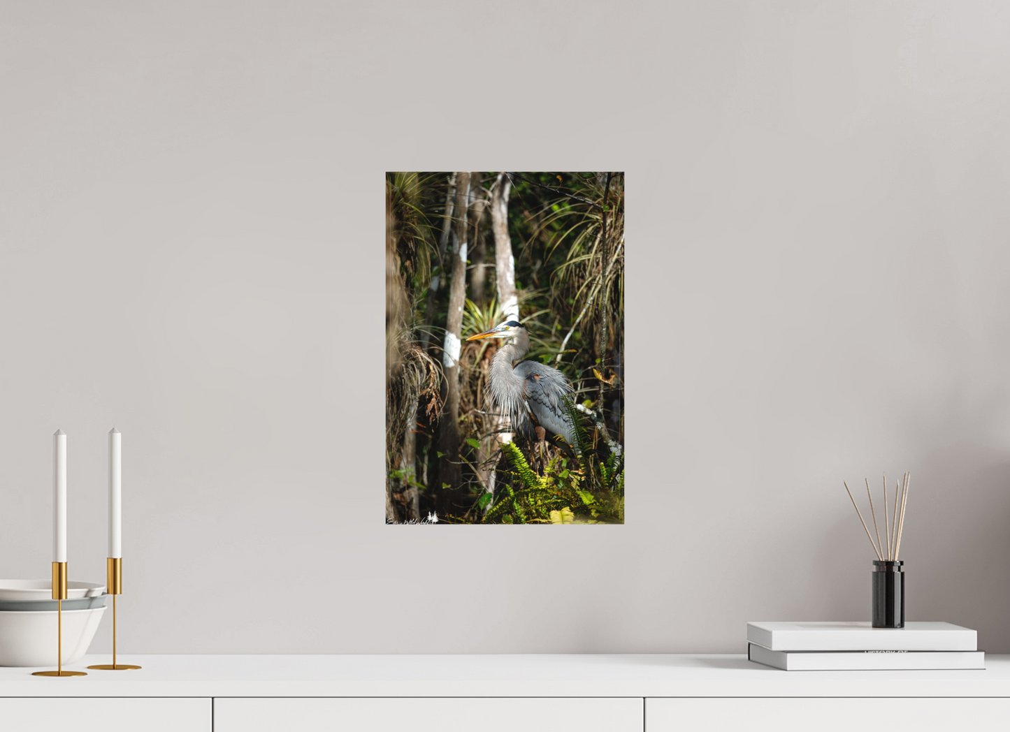 Great blue heron in the swamp