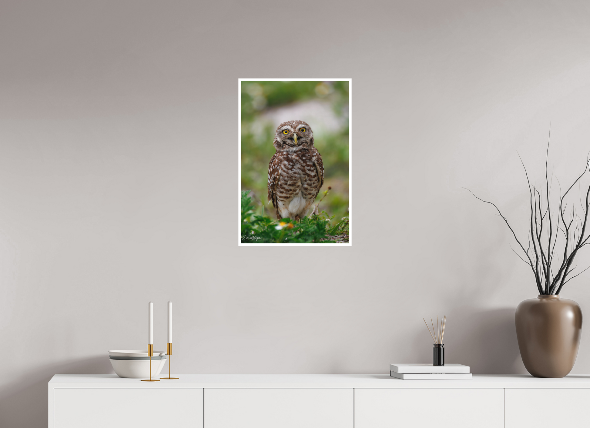 16 x 24″, Fine art print "Wide-Eyed Wonder" - Burrowing Owl