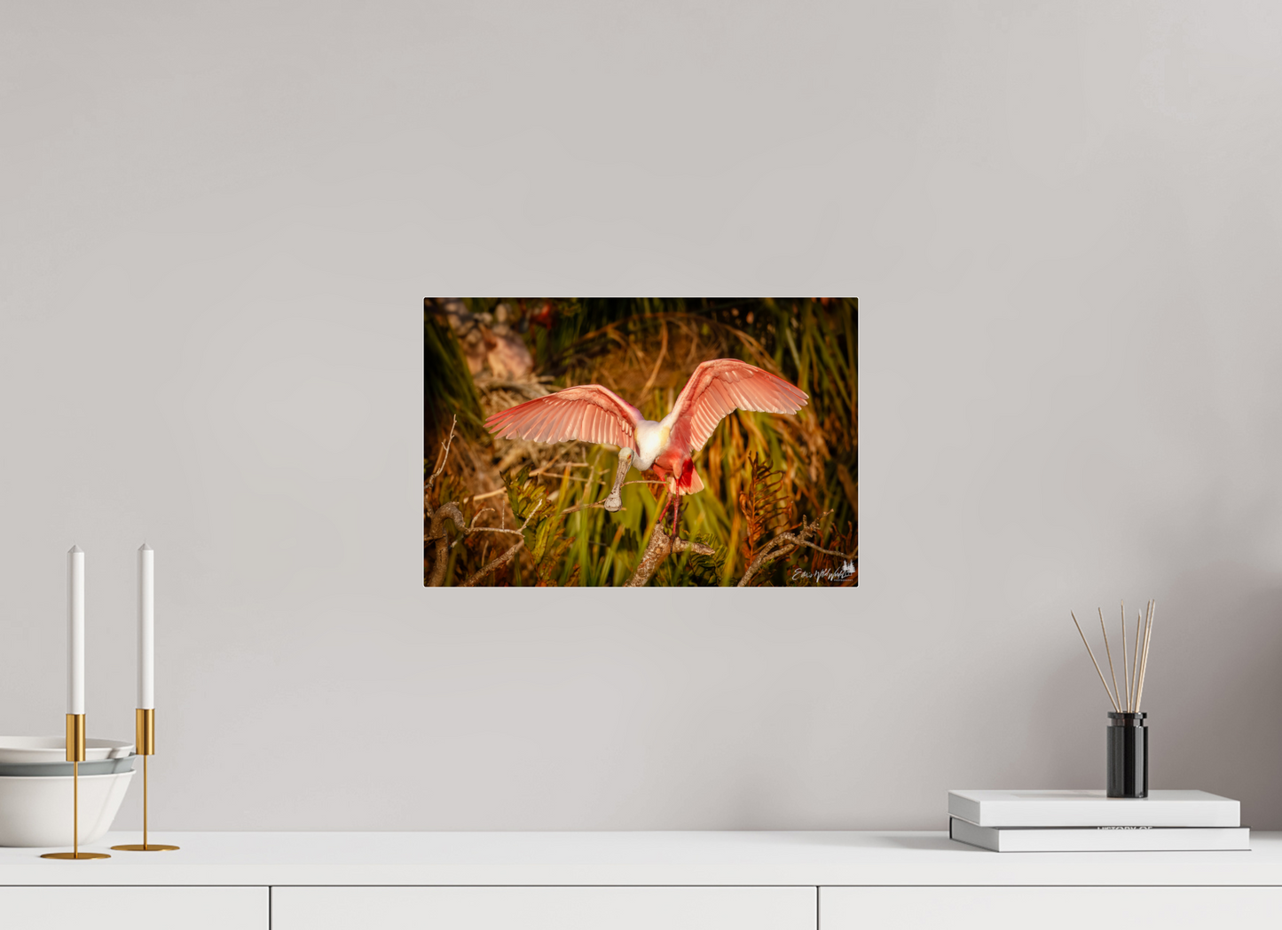 Sunset spoonbill