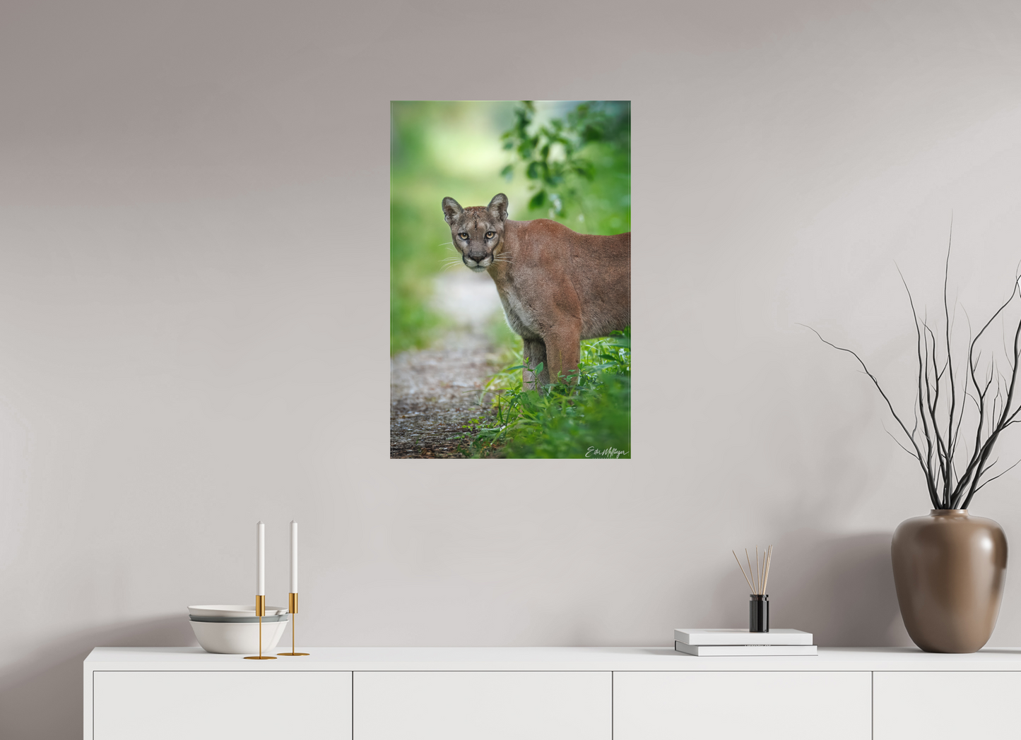 20 x 30″, Canvas "Ghost of the Green Forest" - Florida Panther, vertical