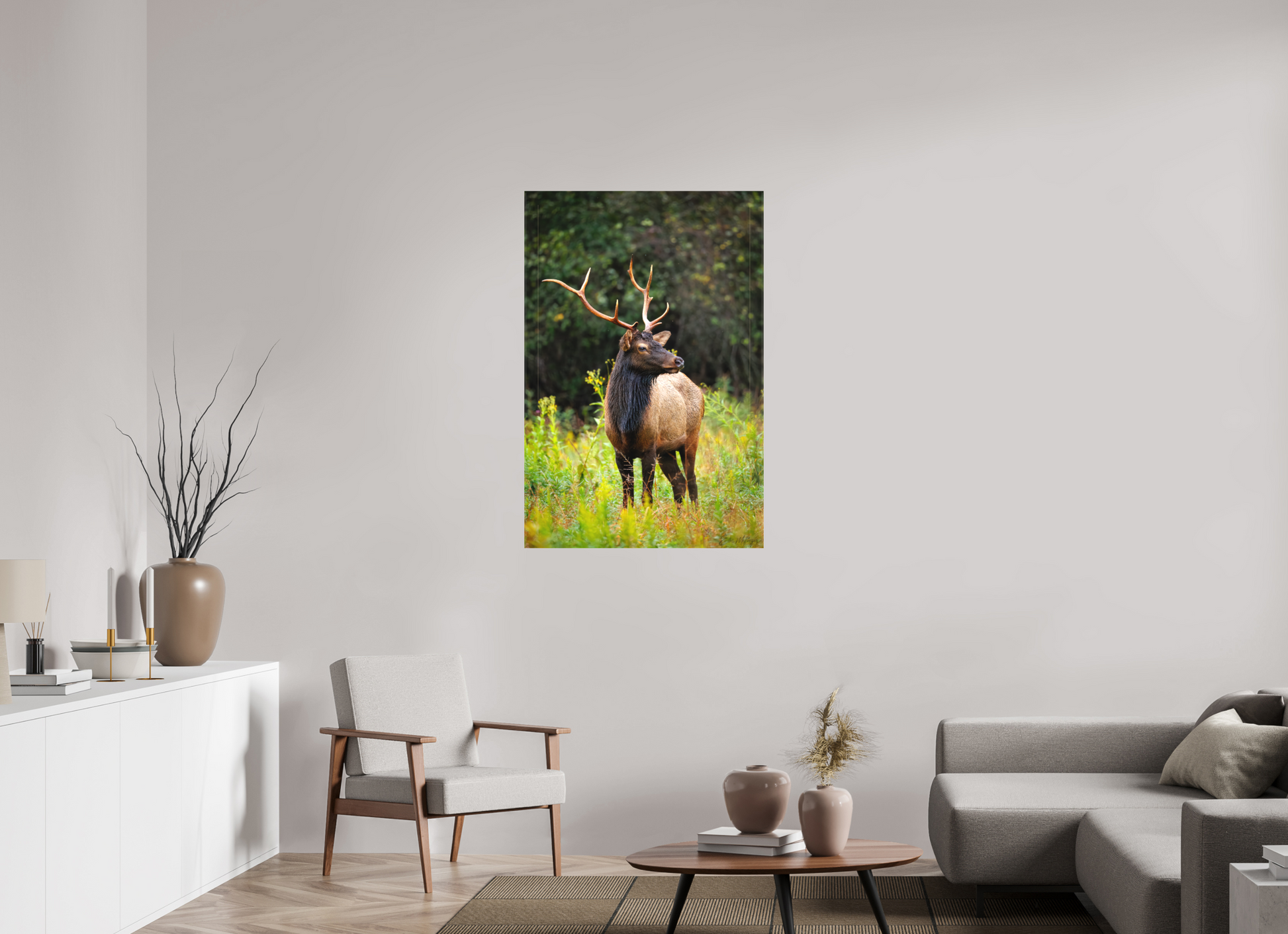 30 x 45″, Canvas "The Watchful King" - Elk
