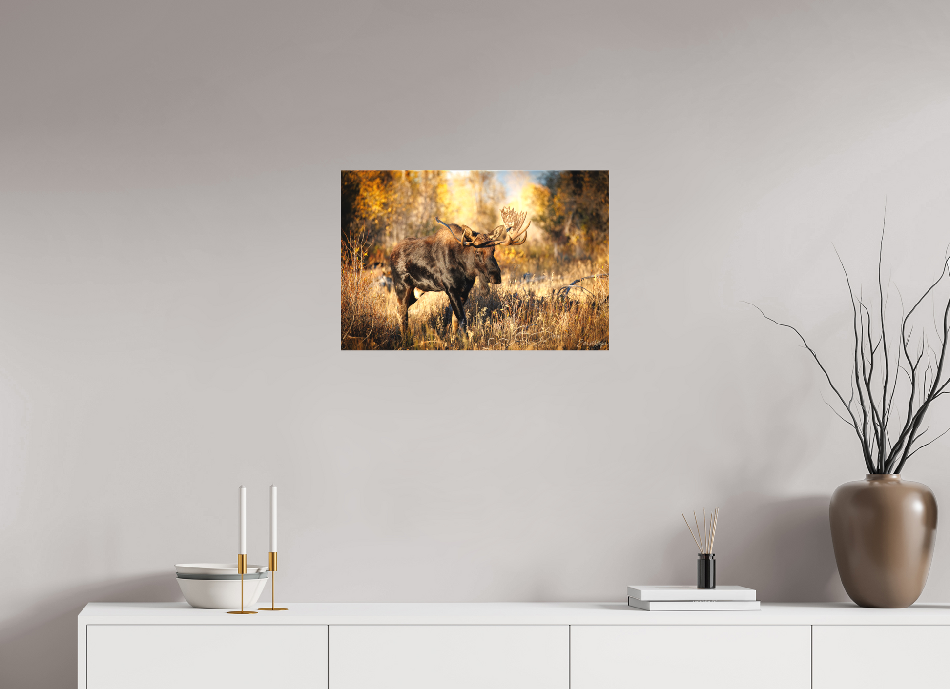 24 x 16″, Canvas "Monarch of Gros Ventre" - Bull Moose