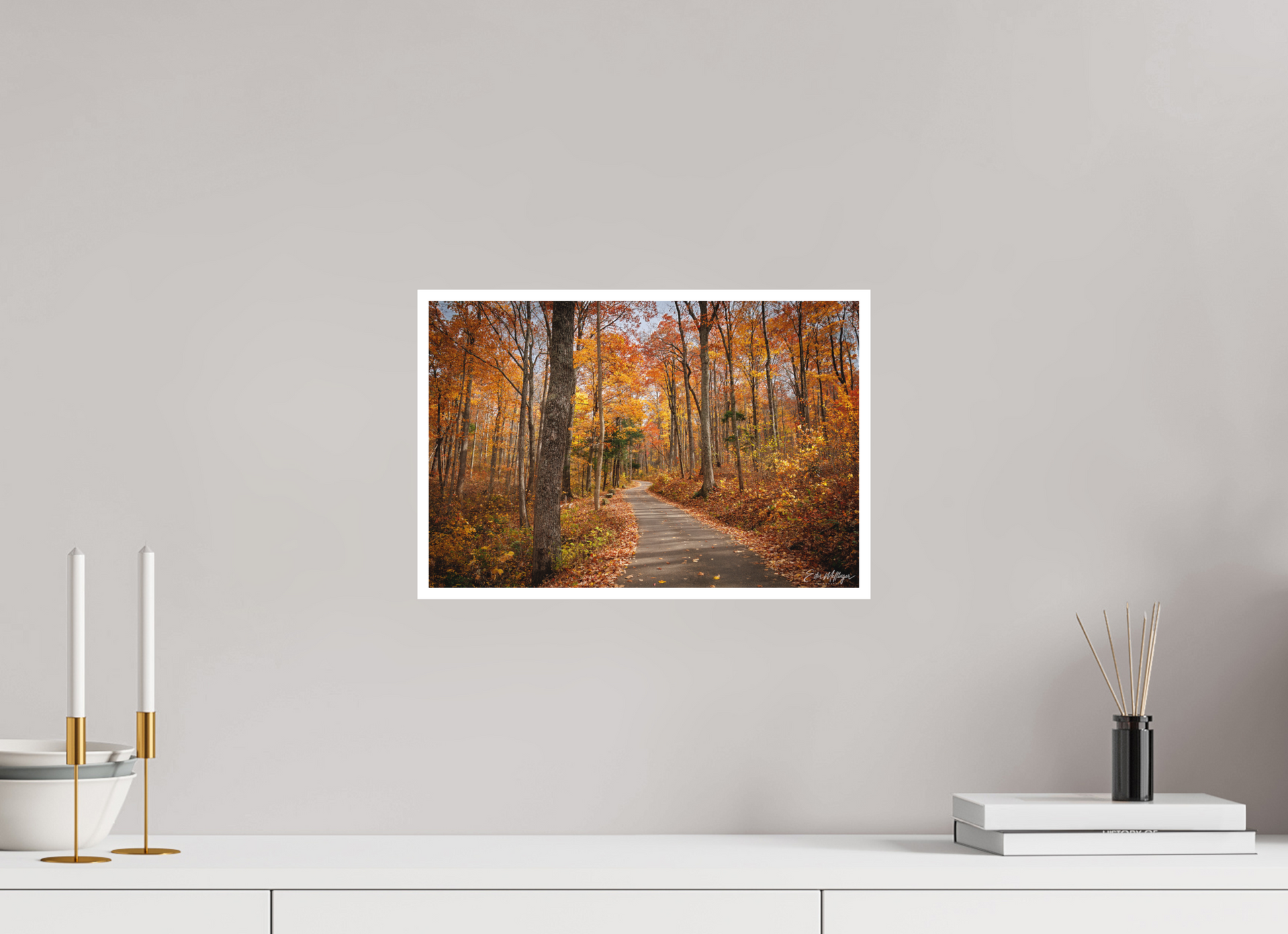 15 x 10″, Fine art print "Golden Path" - Roaring Fork Road