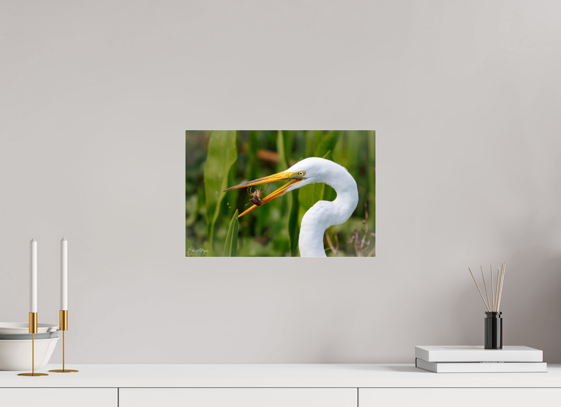 15 x 10″, Acrylic "Marsh Hunter" - Great Egret