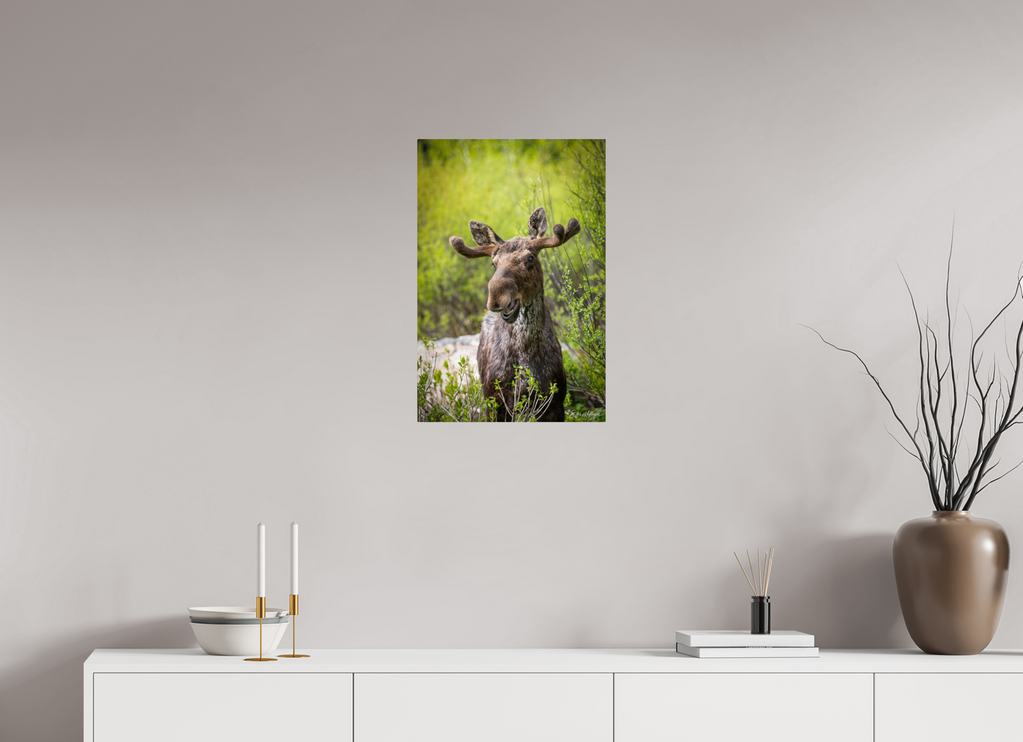 16 x 24″, Metal "Willow Smile" - Moose