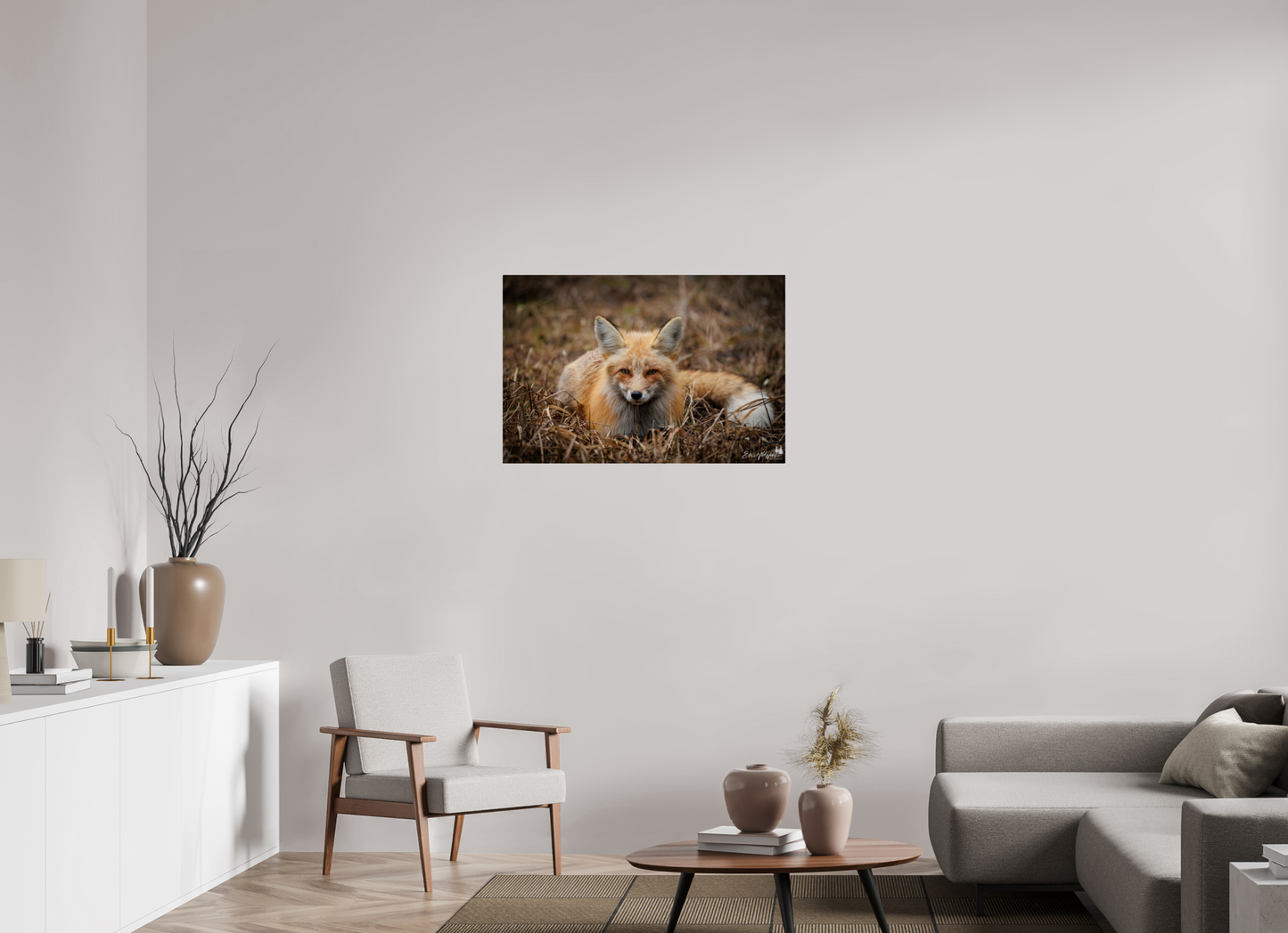 Bedded down fox