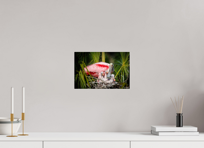 12 x 8″, Acrylic "The Nest Above" - Spoonbills