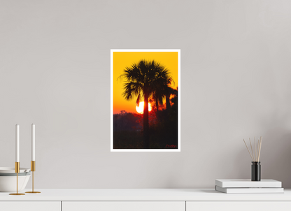 10 x 15″, Fine art print "Florida Awakens"
