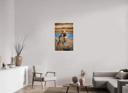 24 x 36″, Fine art print "River Watch" - Grizzly Bear