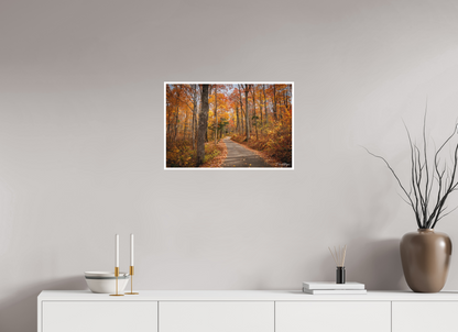 24 x 16″, Fine art print "Golden Path" - Roaring Fork Road