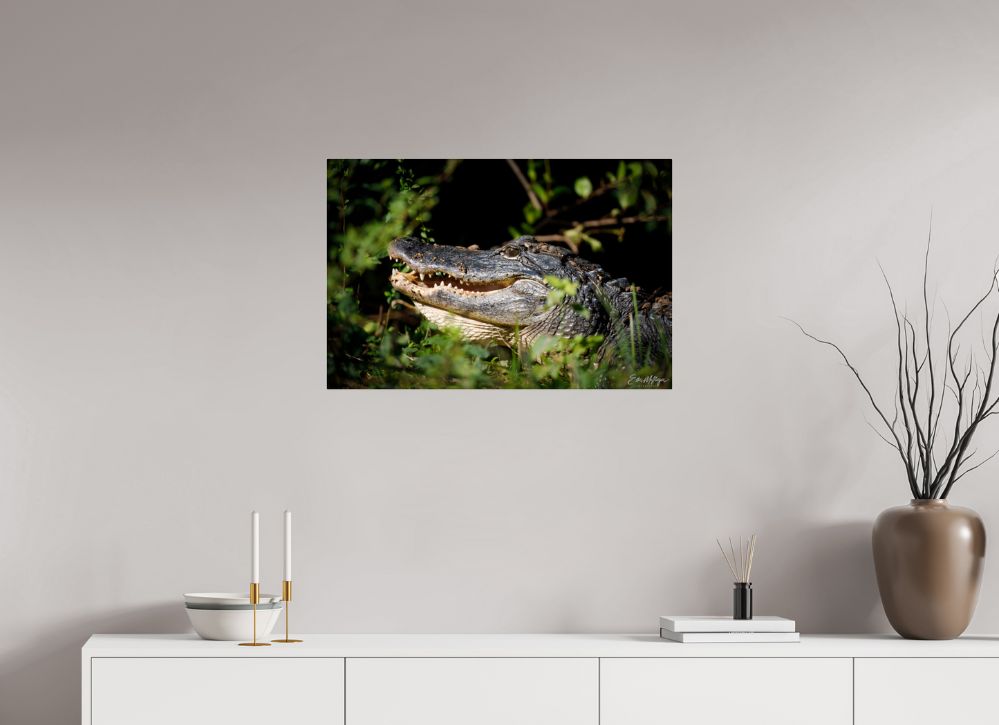 30 x 20″, Acrylic "At the Water's Edge" - American Alligator