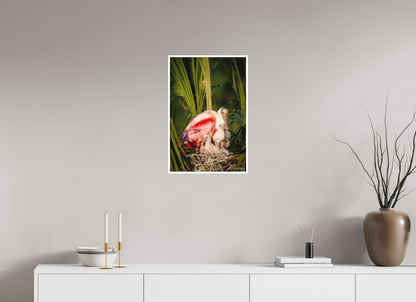 16 x 24″, Fine art print "Golden Hour Nest" - Spoonbills