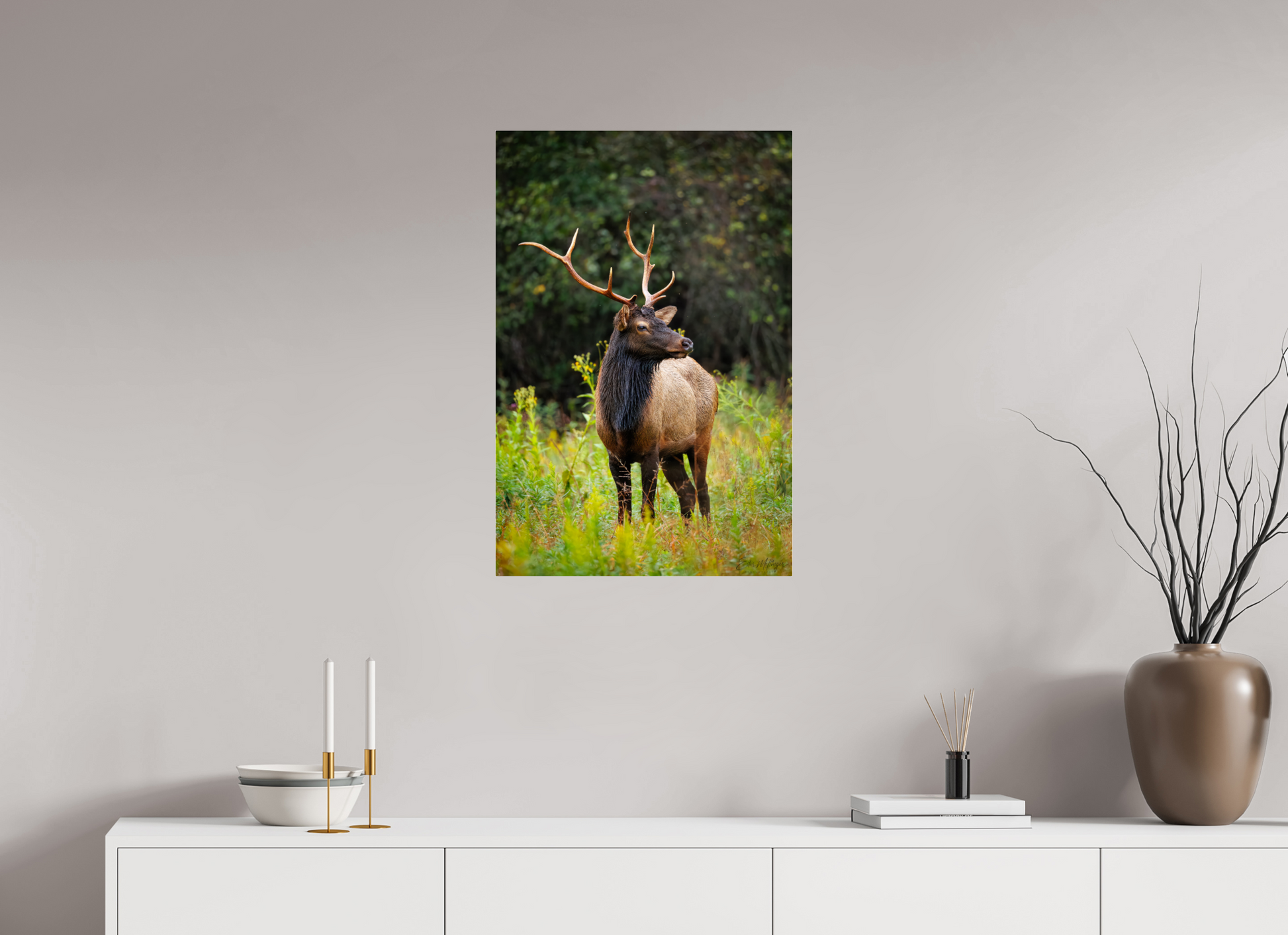20 x 30″, Acrylic "The Watchful King" - Elk