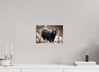 12 x 8″, Metal "Winter Watcher" - Black Bear