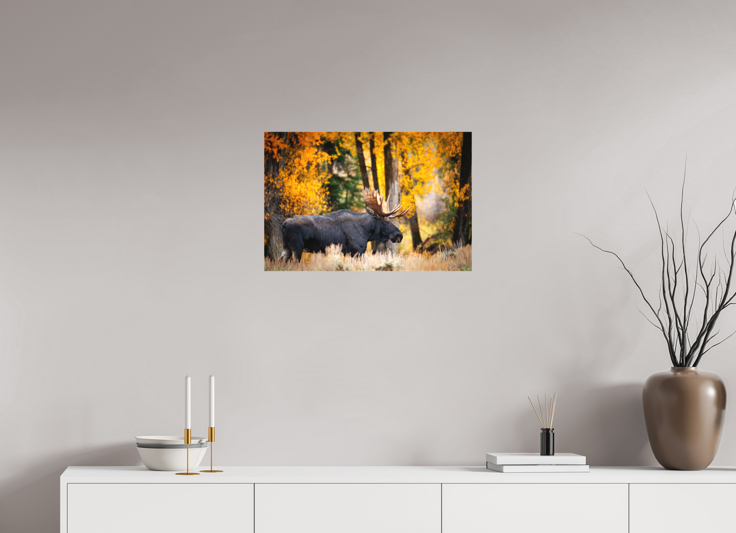 24 x 16″, Canvas "Majesty in the rain" - Bull moose