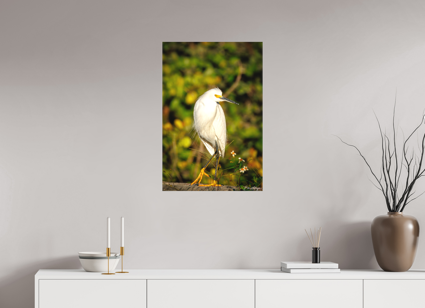 20 x 30″, Canvas "Golden Light, White Silence" - Great Egret