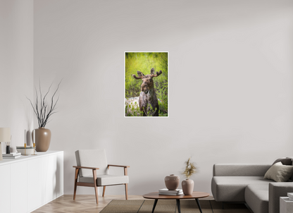 24 x 36″, Fine art print "Willow Smile" - Moose
