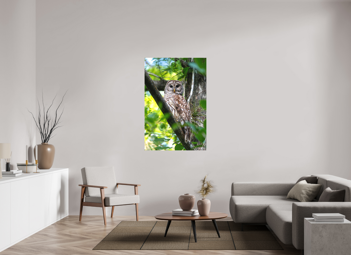 36 x 54″, Canvas "..." - Barred Owl