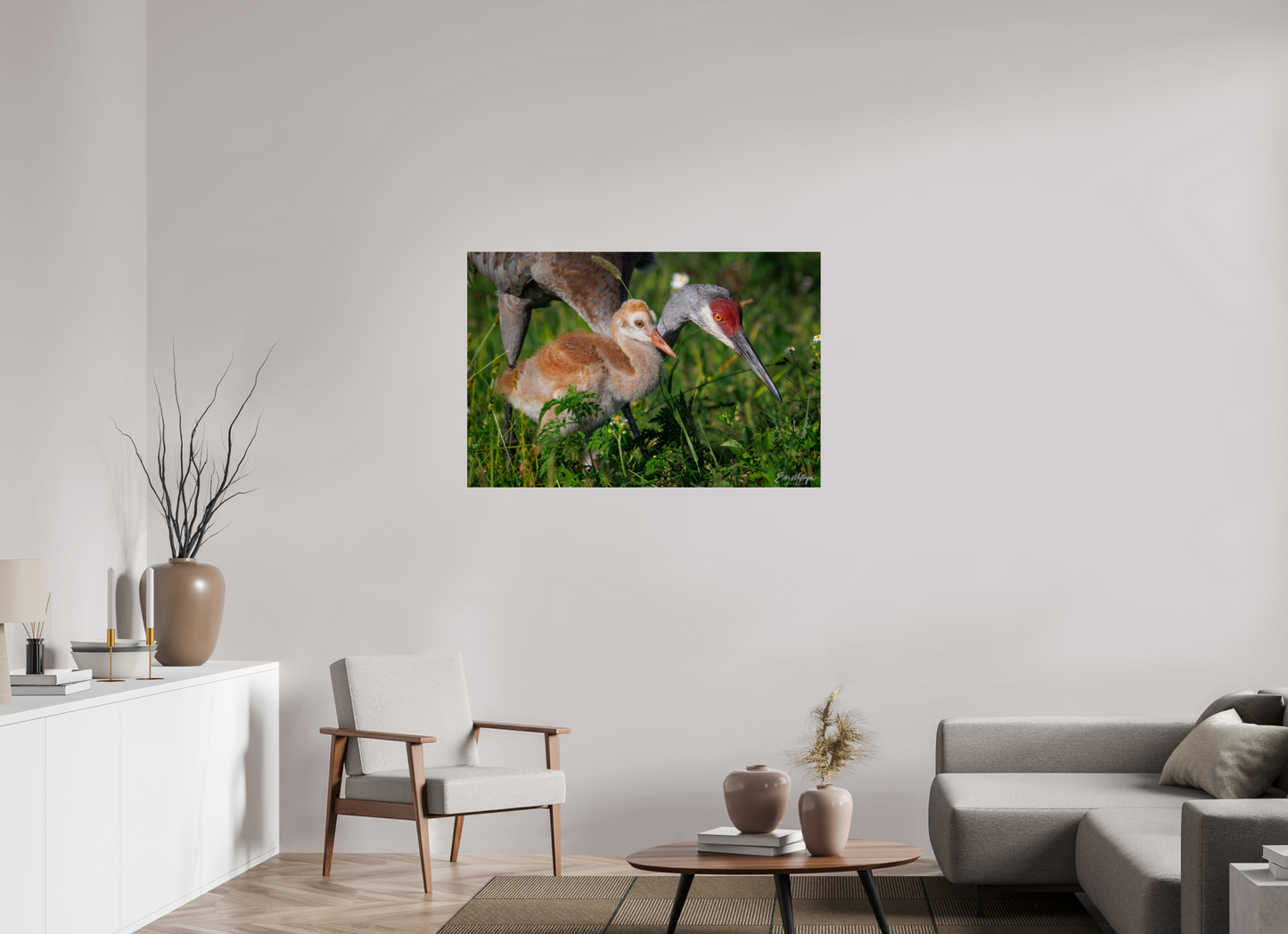 45 x 30″, Metal "Guiding the Next Generation" - Sandhill Cranes