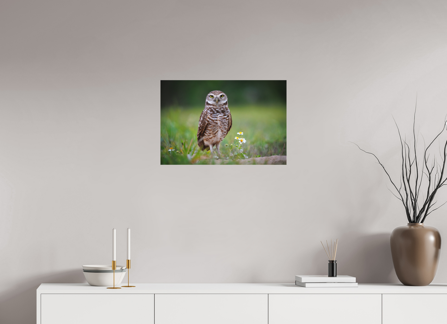 24 x 16″, Canvas "The Watcher" - Burrowing Owl