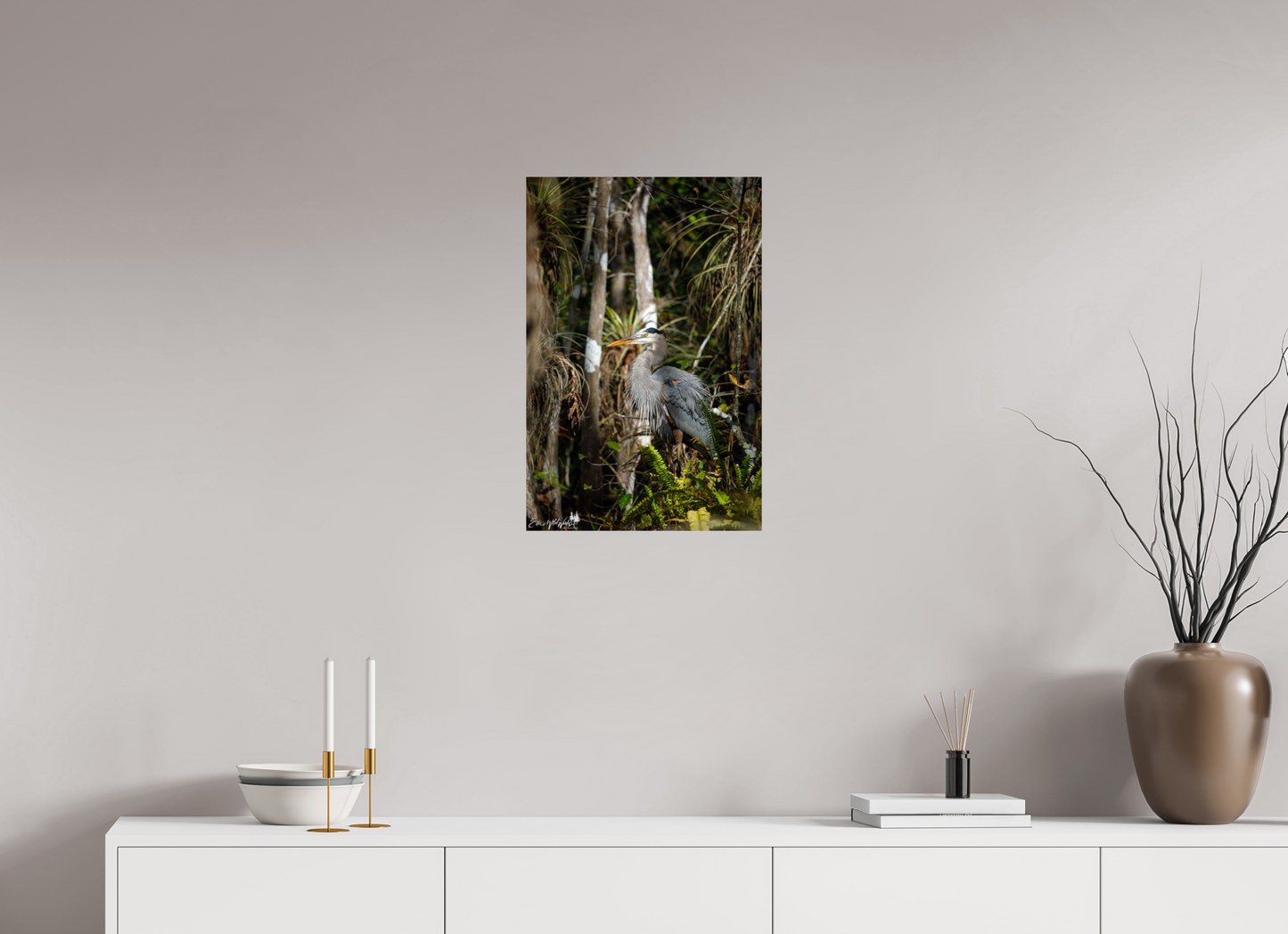 Great blue heron in the swamp